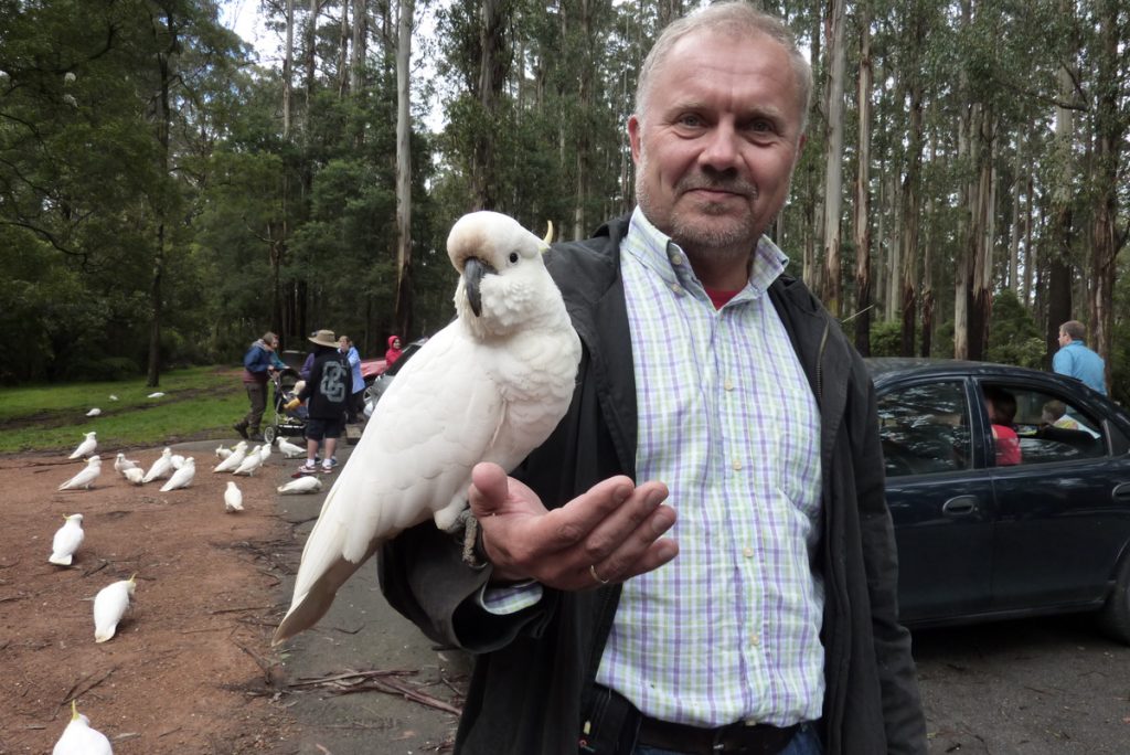 Wine Tasting and parrots in Dandenongs with Melbourne Wine Tours