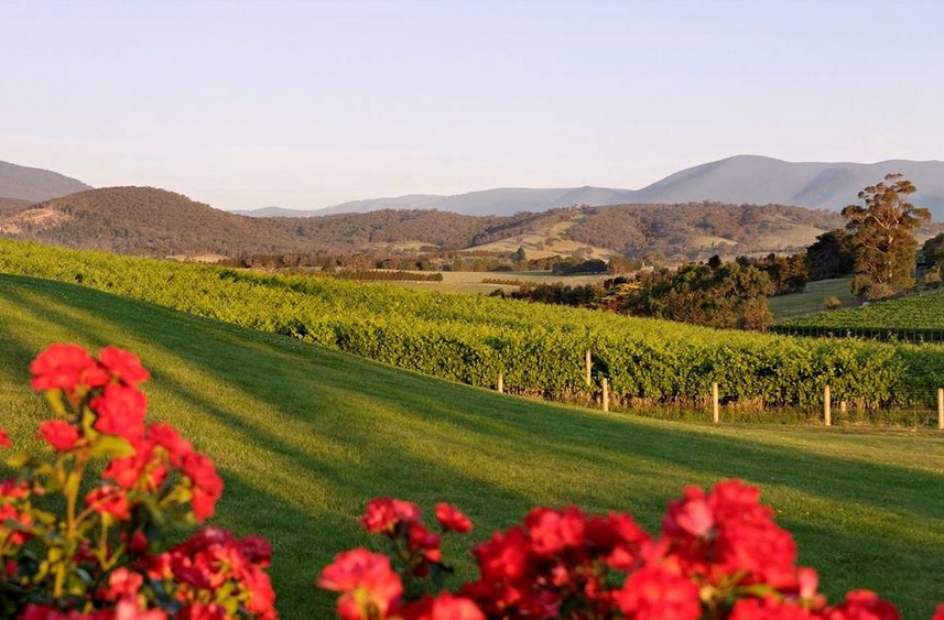 Balgownie Estate Yarra Valley