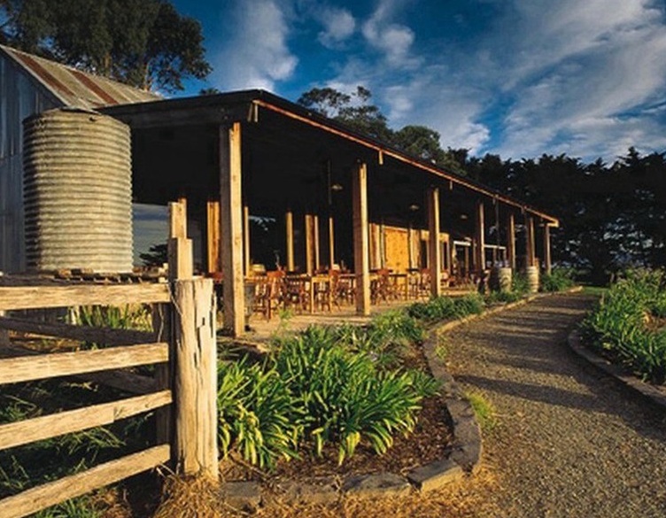 Melbourne wine tours – Yering Farm Wines